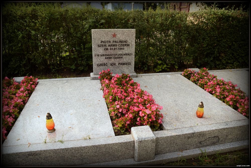 могила Палинского и